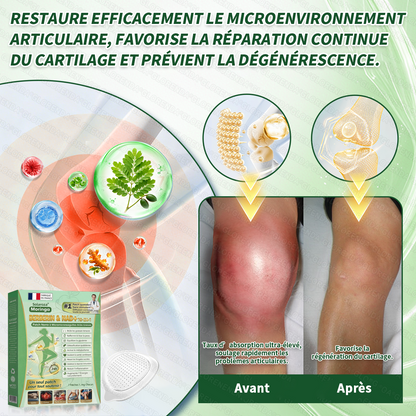 🍀Boutique Officielle🧑‍⚕️🩺Patch Minceur Solaroza® 10-en-1 : Relancez le Métabolisme et Brûlez les Graisses (NAD+ & Berbérine)